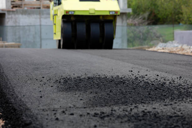 Best Local Driveway Pavers  in Fircrest, WA
